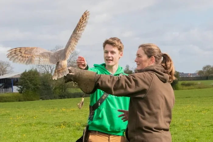 1 Hour Junior Falconry Experience at Mercer Falconry, Derbyshire