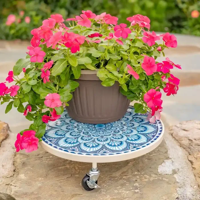 13.8″ Plant Trolley “Seattle”