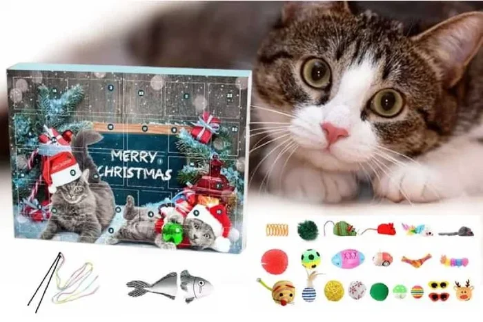 2024 Cat Toys Christmas Countdown Calendar