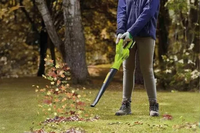 20V Cordless Lithium-ion Garden Leaf Blower with Lightweight Ergonomic Design