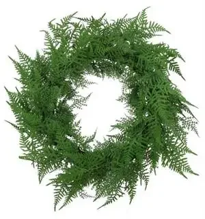 24″ Fern Wreath