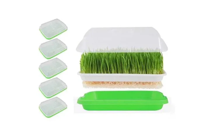 5 Pack Seed Sprouter Trays for Microgreens – Soil-Free, Eco-Friendly Design