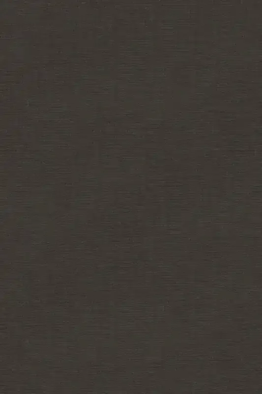 Adama Vinyl Floor Mat/Rug (Casau_Black)