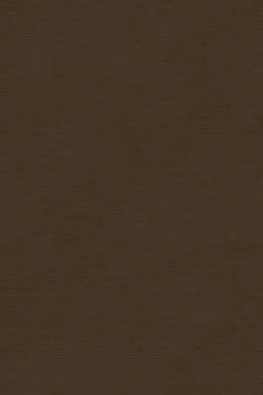 Adama Vinyl Floor Mat/Rug (Casau_Brown)