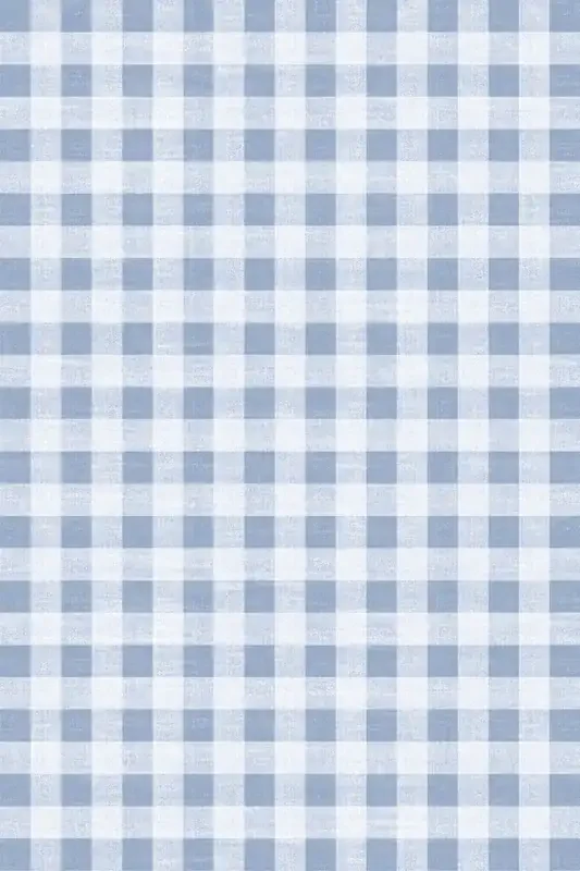 Adama Vinyl Floor Rug (Gingham Check Blue)