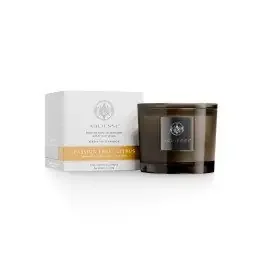 Aquiesse – Passionfruit Citrus Medium Candle