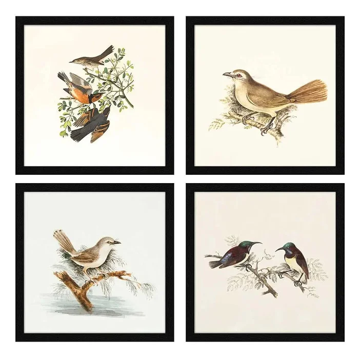 ArtX Paper Birds Wall Art Painting Framed Paintings Set of 4