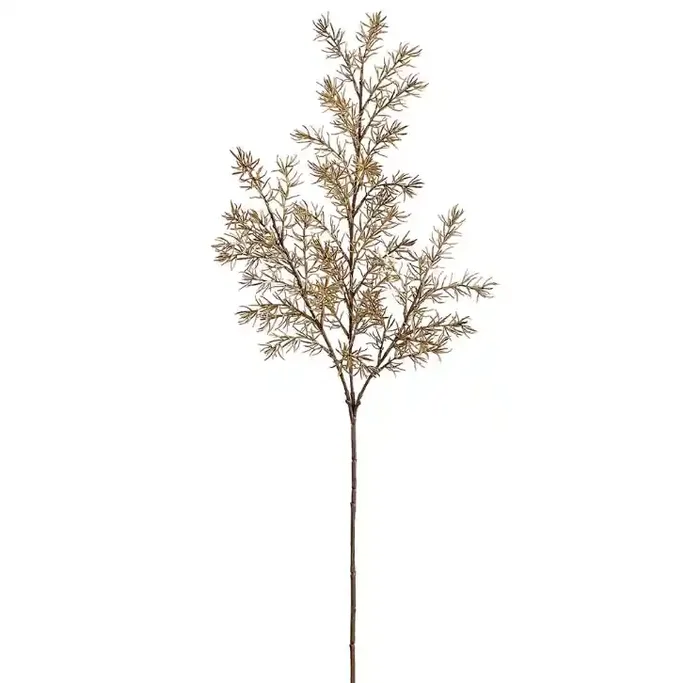 Asparagus Fern Spray