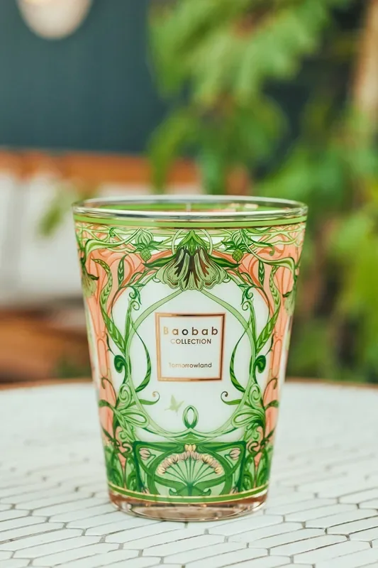 Baobab Candle- Tomorrowland (Max 10)