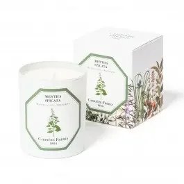 Carriere Freres – Spearmint (Mentha Spicata) Candle