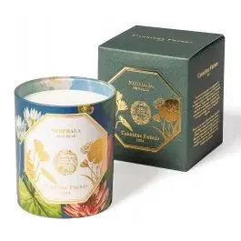 Carriere Freres – Waterlily (Nymphaea) Candle
