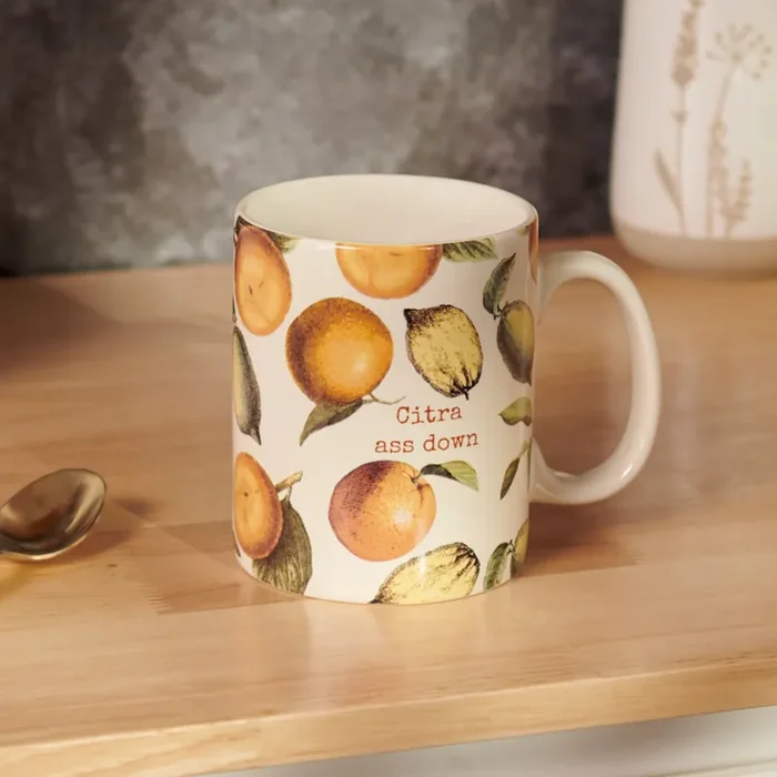 Citra Ass Down Mug in Citrus Vintage Design Stoneware Coffee Tea Cup 20 oz