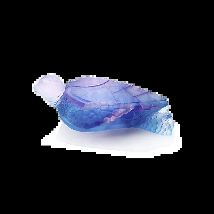 Coral Sea Blue Pink Medium Sea Turtle