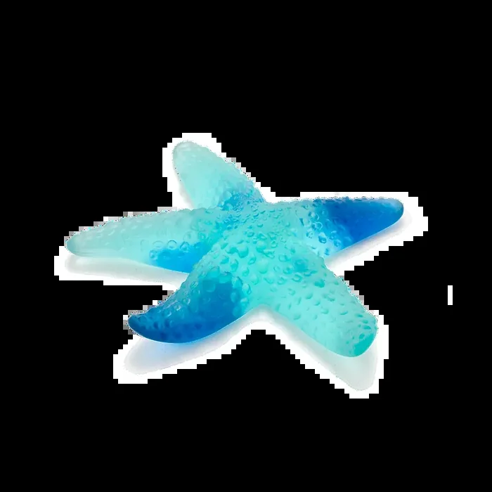 Coral Sea Blue Starfish
