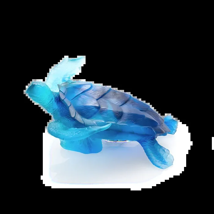 Coral Sea Large Blue Sea Turtle