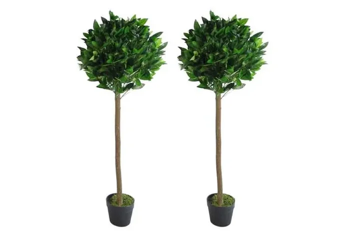 Deluxe Pair of Luxurious Artificial Bay Laurel Ball Trees