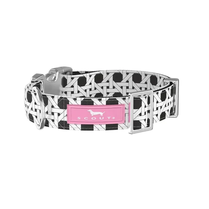 Dog Collar Spring