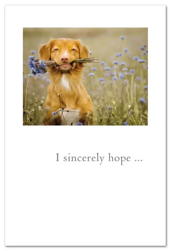Dog Holding Flowers Thank You Card