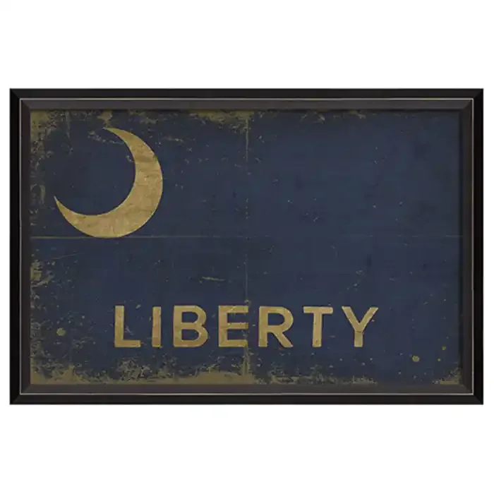 Fort Moultrie Liberty Flag Framed Print 17″ x 25″