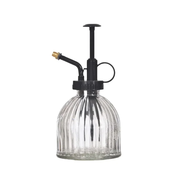 Glass plant mister clear