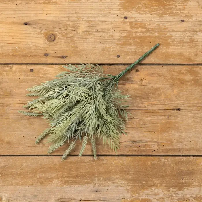 Green Fern Bush 12″