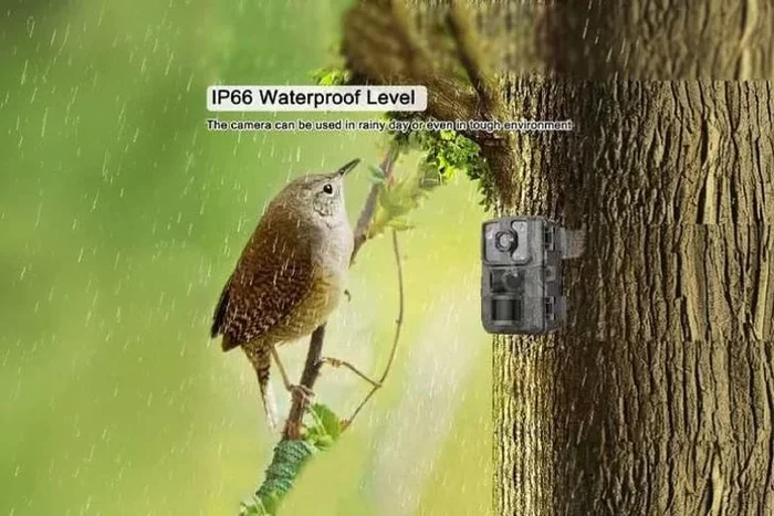 HD Waterproof Trail Camera for Wildlife & Hunting