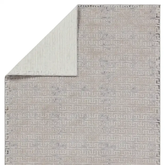 Jaipur Living Baxley Geometric Gray/ Beige Area Rug (SUNDAR – SUD06)