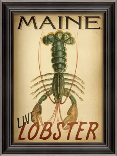 Maine Live Lobster Framed Print by Spicher & Company 21″ x 28″