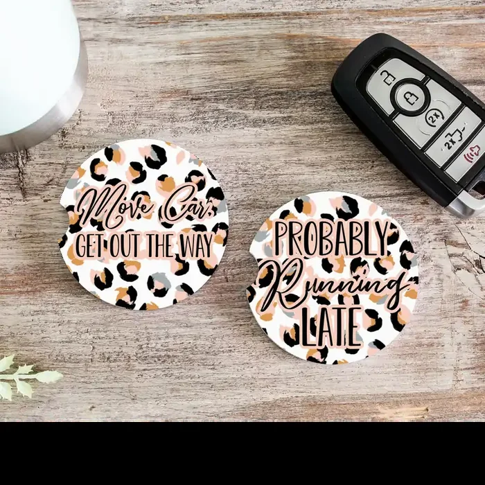 Move, Car • Car Coaster