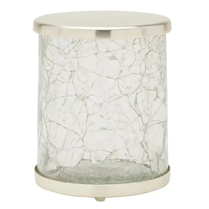 Pomaria Glass/Stainless Steel Small Canister (Brushed Silver)