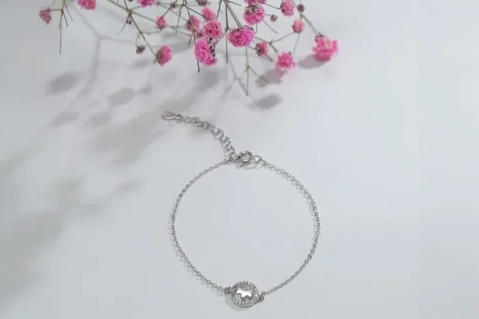 Radiant Sterling Silver S925 Pet Bracelet