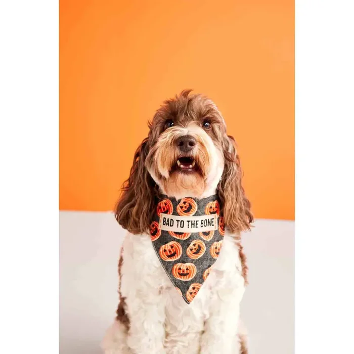 Reversible Holiday Dog Bandana • Feast Mode