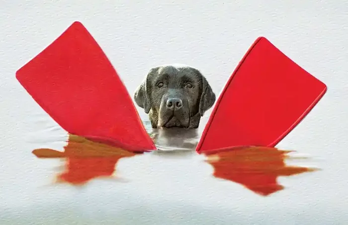 Salty Birthday Greeting Card