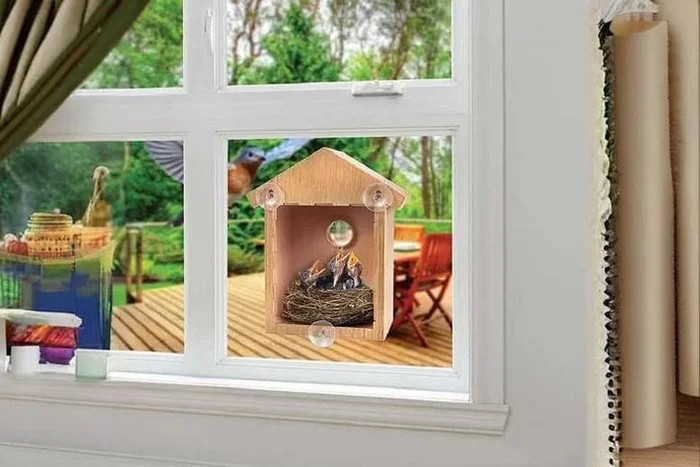 Secret Window Bird Watching Box – Nature’s Spectacle