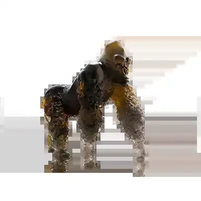 Silverback Gorilla in Amber Grey by Jean-No