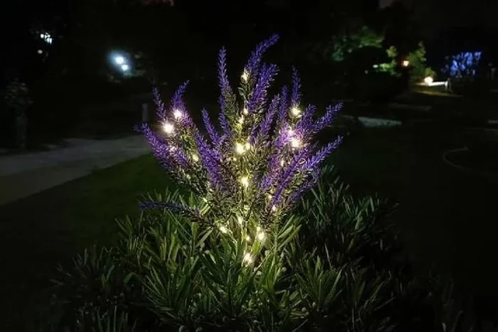 Solar LED Lavender Stake Light – Weatherproof Outdoor Garden Path Lighting