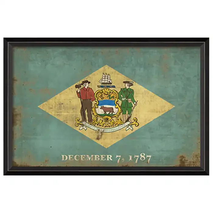 State Flag Framed Print (Delaware)