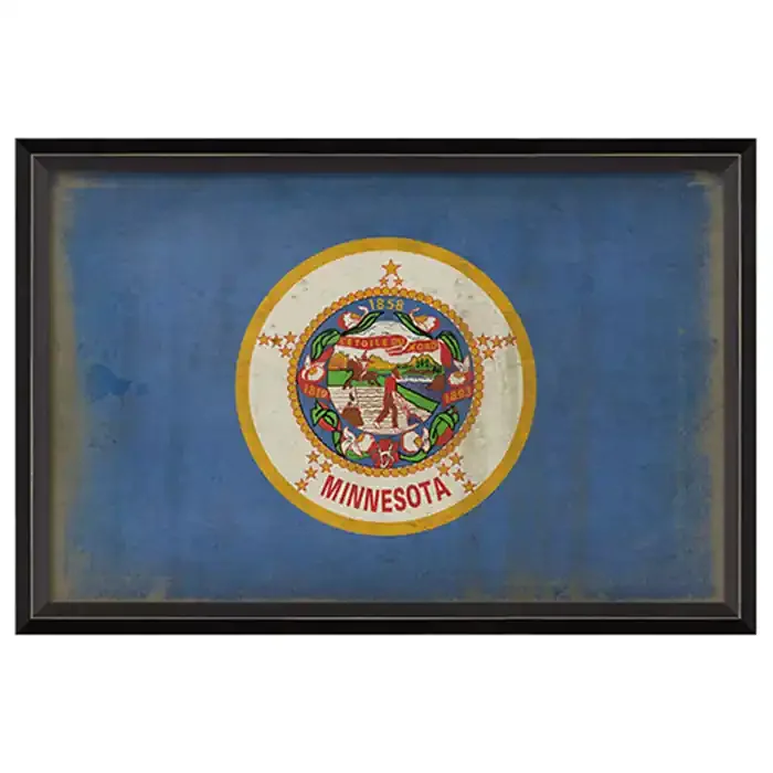 State Flag Framed Print (Minnesota)