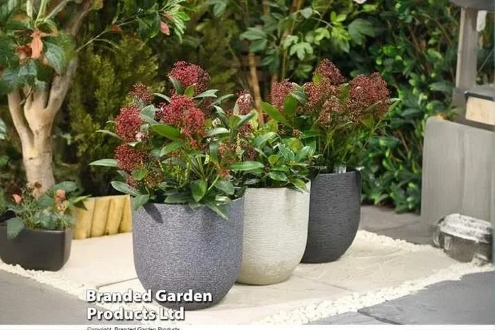 Stone Effect Ivory Planter – Lightweight, Weather-Resistant, 26cm