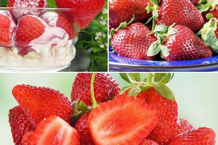 Strawberry All Season Trio – 18 Fruit Plants for Extended Harvest