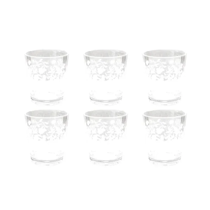 TarHong Vines Etch Clear Acrylic Double Old Fashioned Drinking Glass, Set of 6