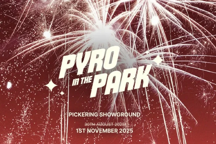 Tickets to Pyro In The Park Winter Fireworks in Pickering, 1st Nov 2025 – Child & Adult Tickets