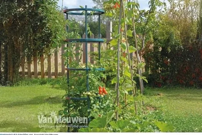 Tomato Plant Support Set – 5-Piece Durable Framework for Vigorous Growth