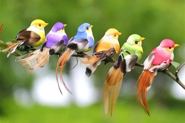 Vibrant 12pc Bird Garden Ornaments