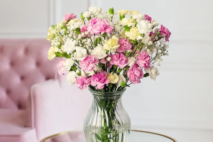 Vibrant Carnation Bouquet from FlowersDelivery4U