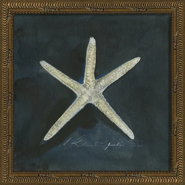 Vintage Seashell I Framed Print 13″ x 13″