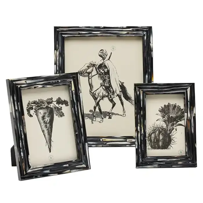 Winslow Horn Picture Frames (Dark)