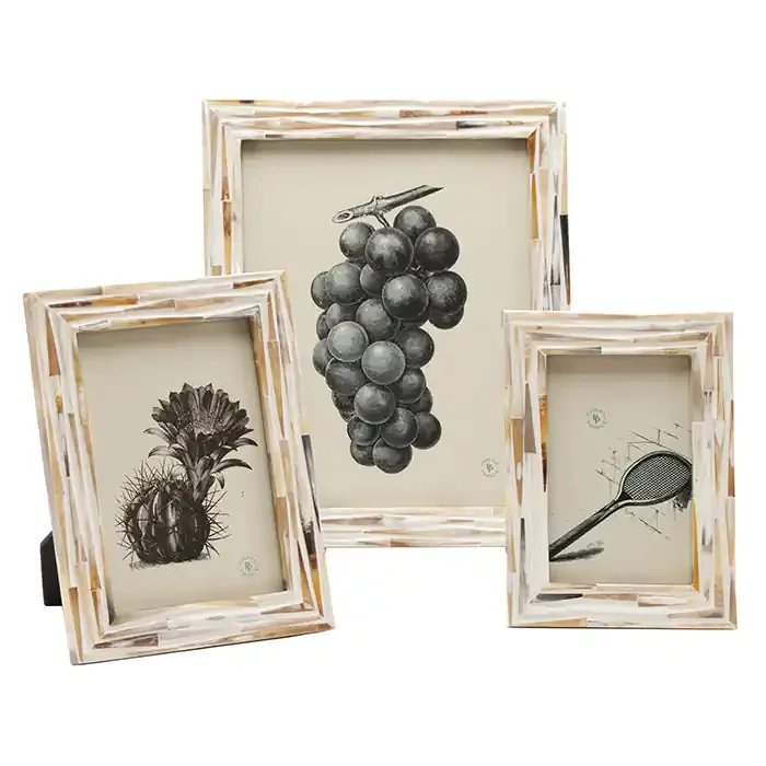 Winslow Horn Picture Frames (Natural)